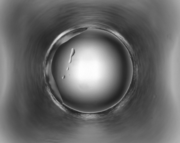 X0000087510862200704271121