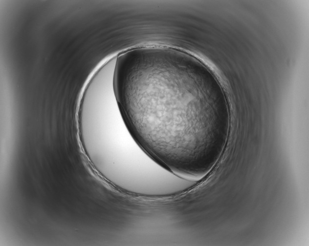 X0000087510864200704271121