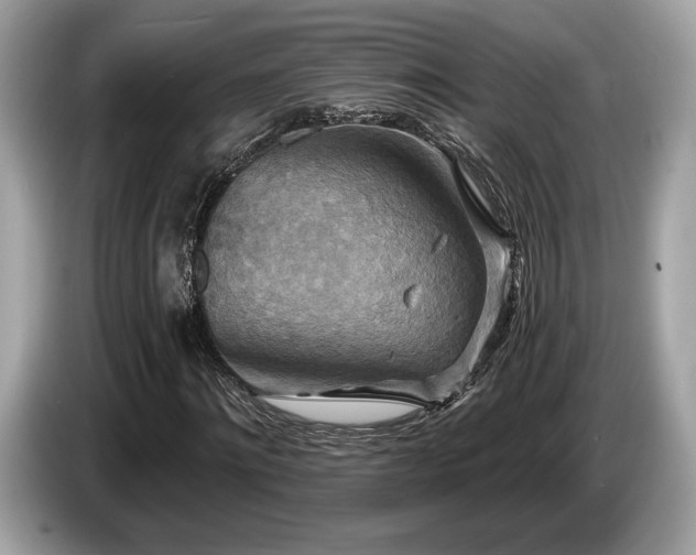 X0000087510868200704271121