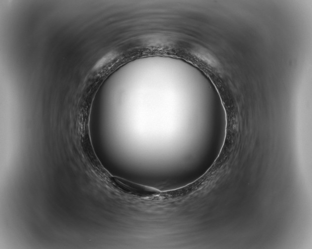X0000087510869200704271121