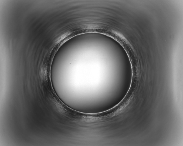 X0000087510873200704271121