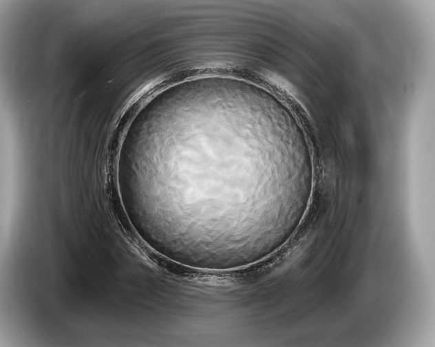 X0000087510874200704271121