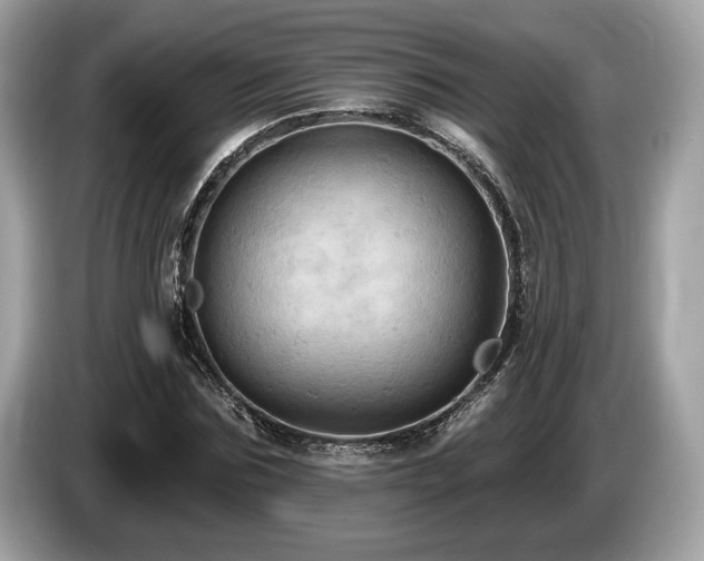 X0000087510875200704271121