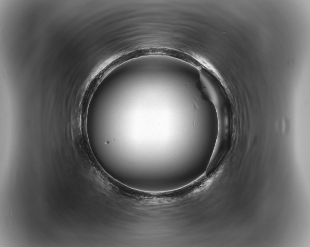 X0000087510877200704271121