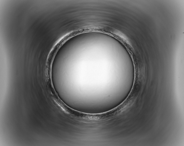 X0000087510878200704271121