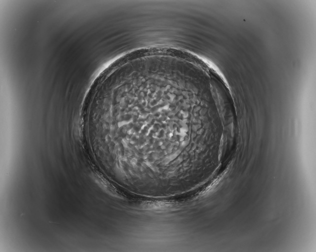 X0000087510879200704271121