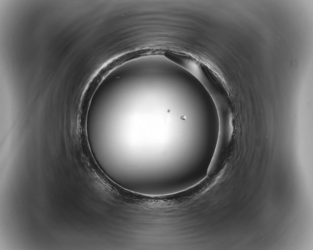 X0000087510880200704271121