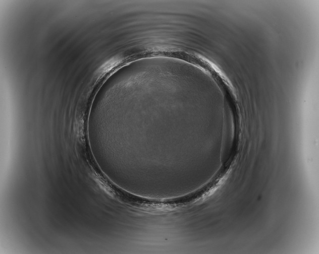 X0000087510881200704271121