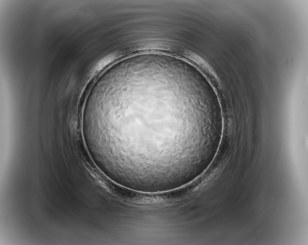 X0000087510882200704271121