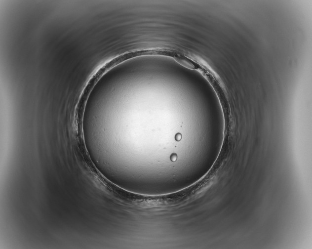 X0000087510883200704271121