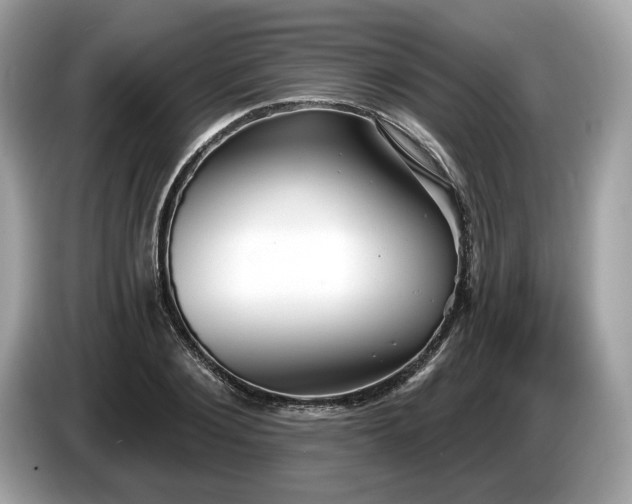 X0000087510884200704271121