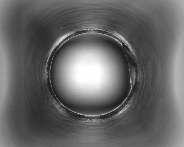 X0000087510885200704271121