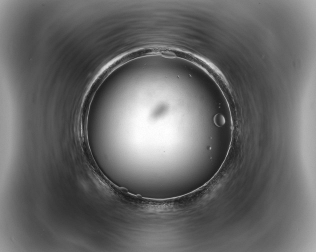 X0000087510887200704271121