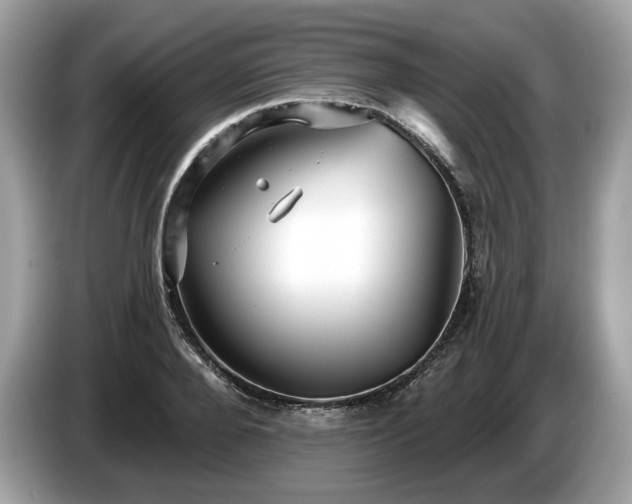 X0000087510888200704271121