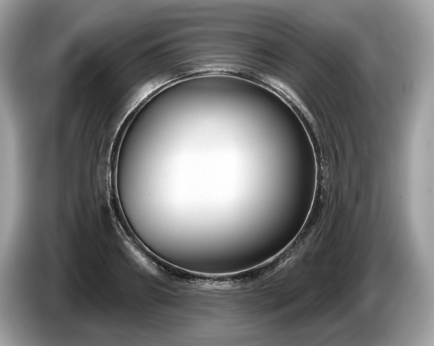X0000087510890200704271121