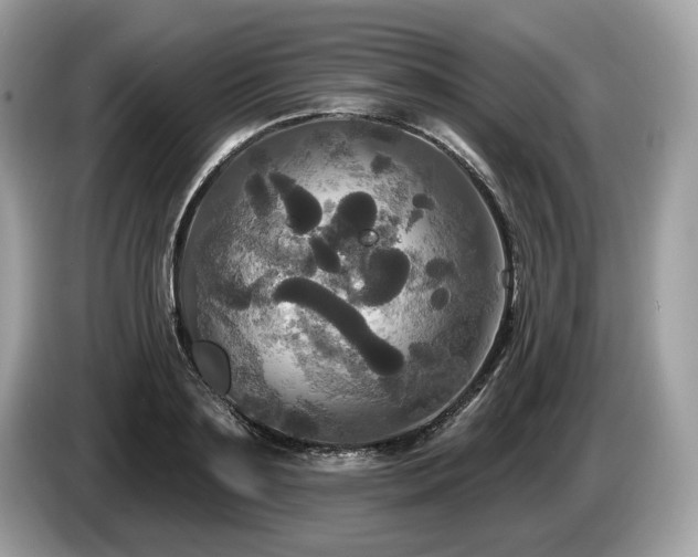 X0000087510891200704271120