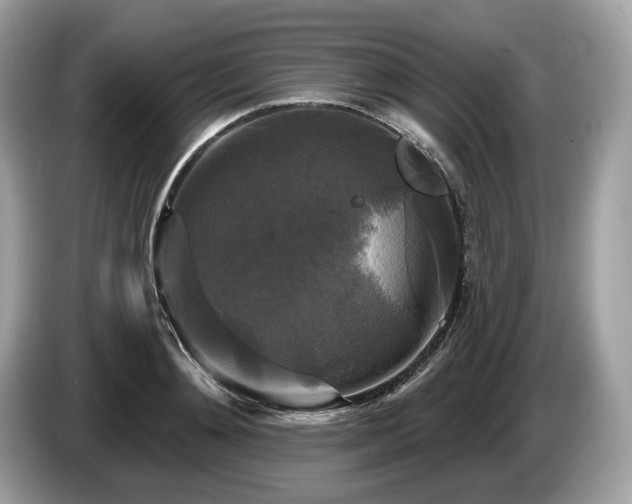 X0000087510892200704271120