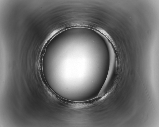 X0000087510893200704271120
