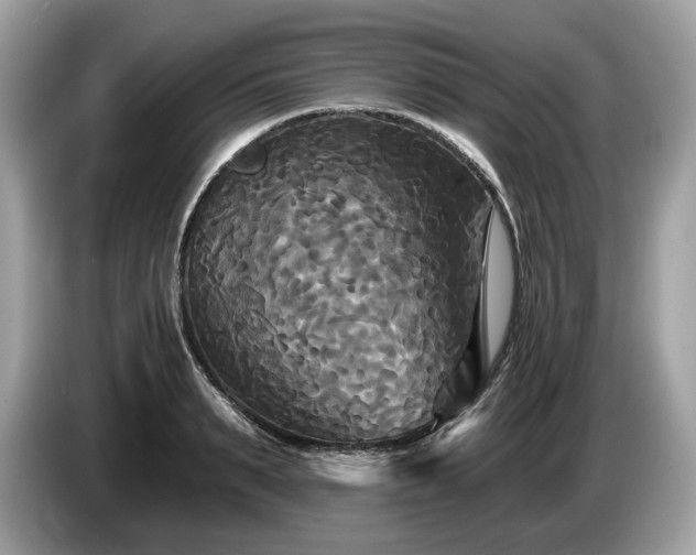 X0000087510895200704271120