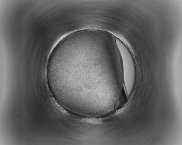X0000087510896200704271120