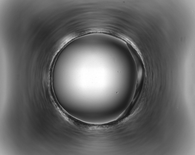 X0000087510898200704271120