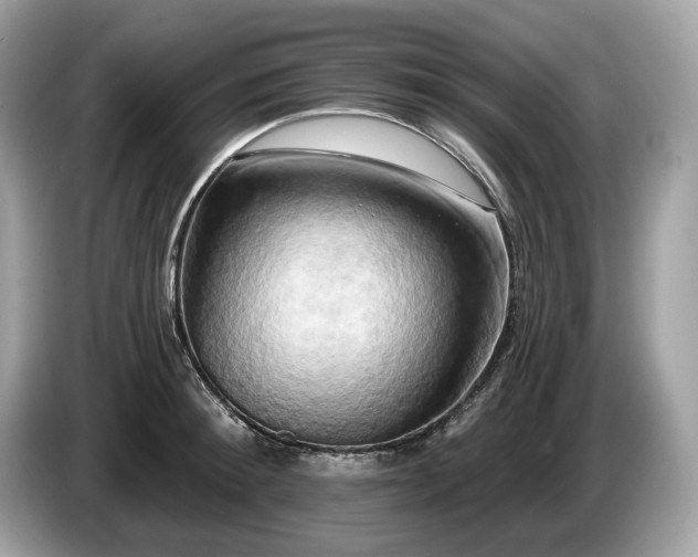 X0000087510900200704271120