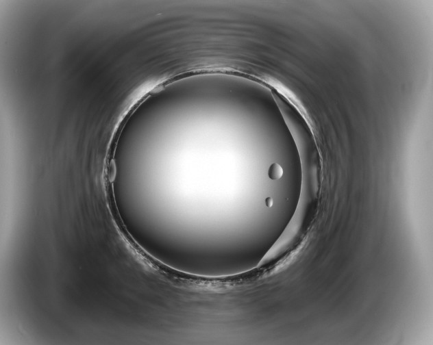 X0000087510901200704271120