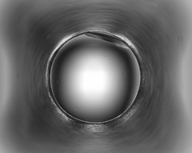X0000087510902200704271120
