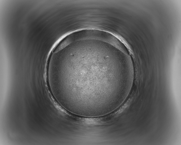 X0000087510904200704271120