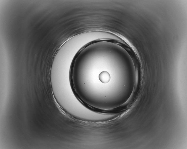X0000087510905200704271120