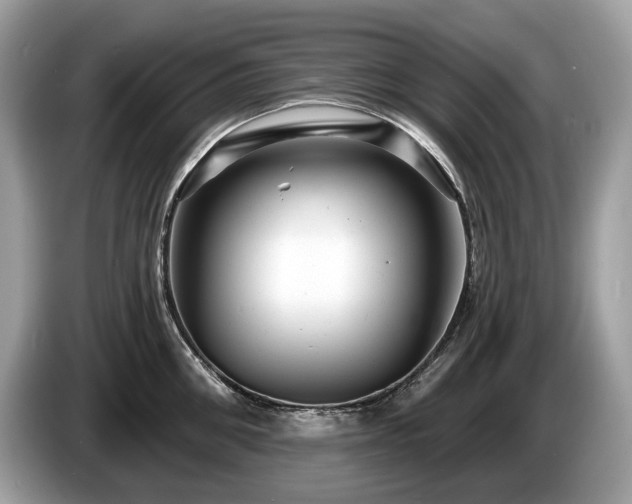 X0000087510906200704271120