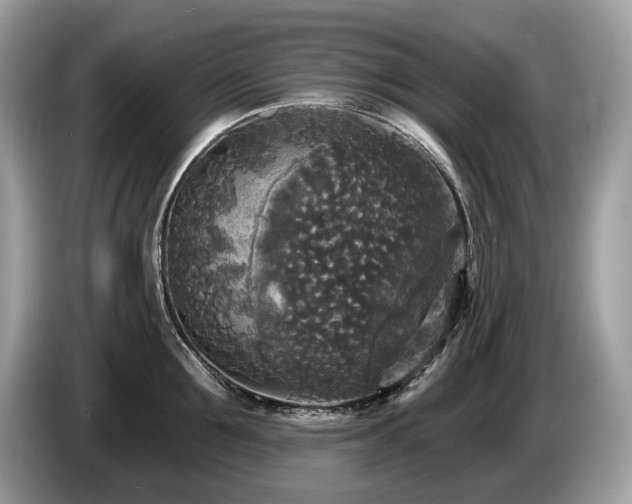 X0000087510907200704271120
