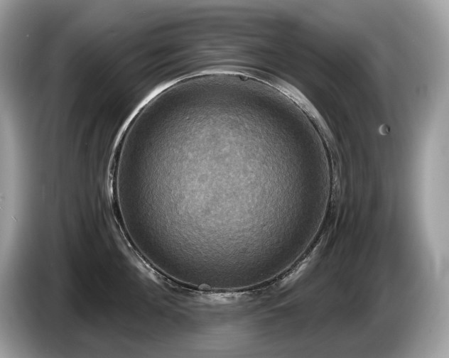 X0000087510908200704271120