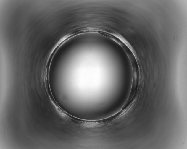 X0000087510909200704271120