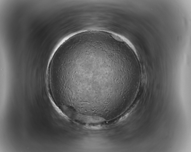 X0000087510911200704271120