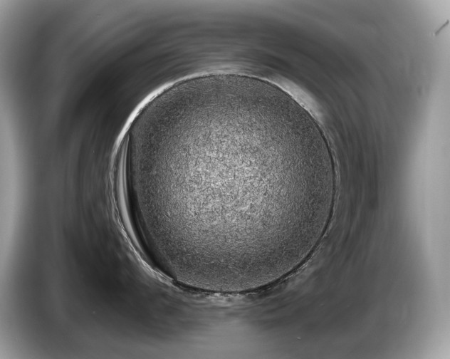 X0000087510912200704271120
