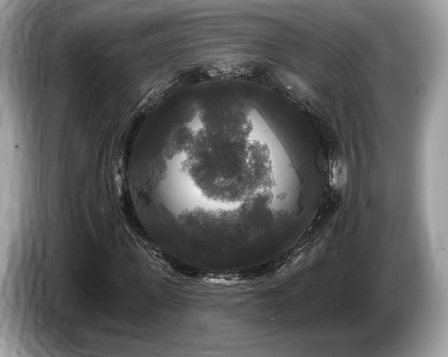 X0000087510915200704271120