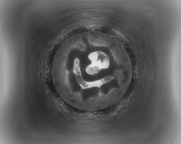 X0000087510917200704271120