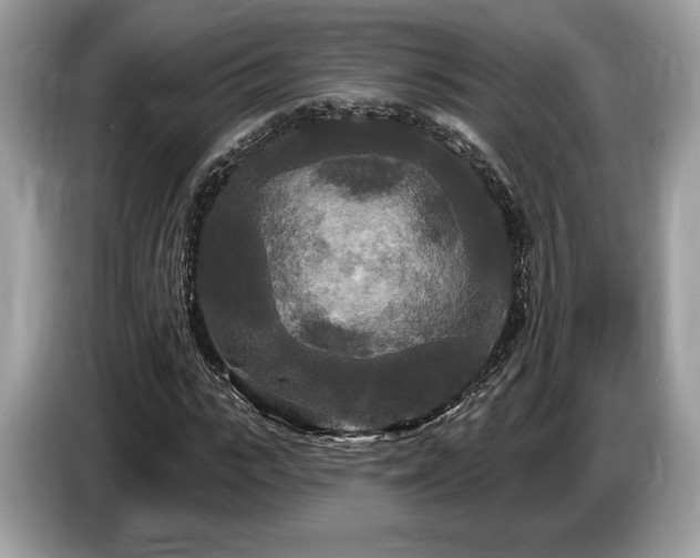 X0000087510919200704271120