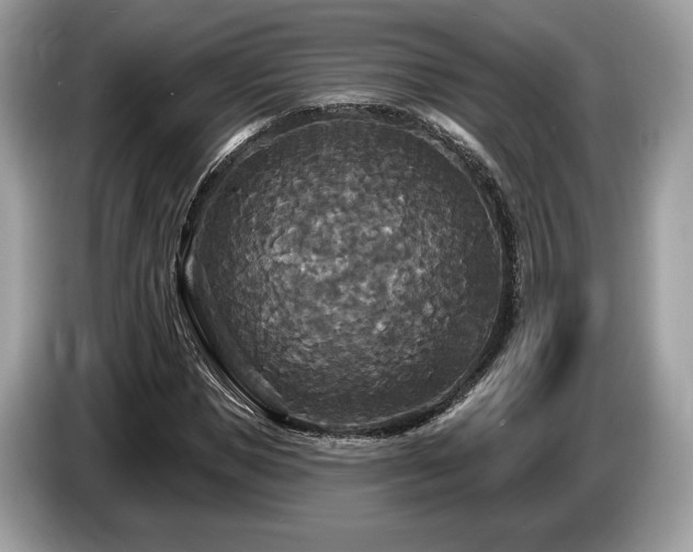X0000087510921200704271120