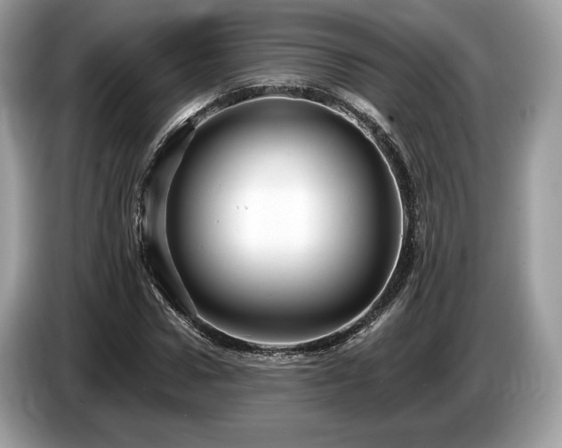 X0000087510922200704271120