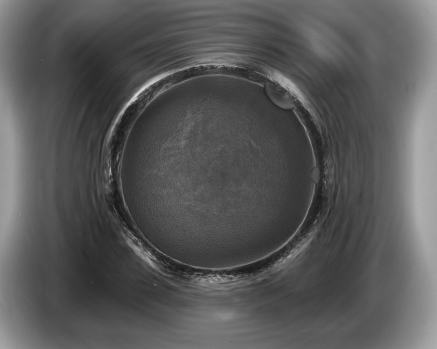 X0000087510923200704271120