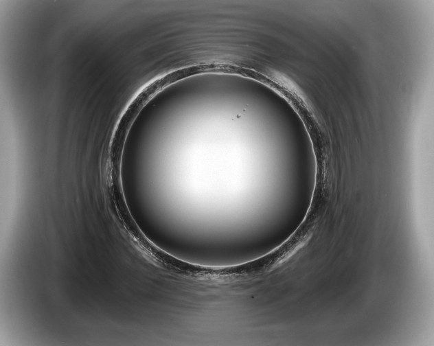 X0000087510924200704271120