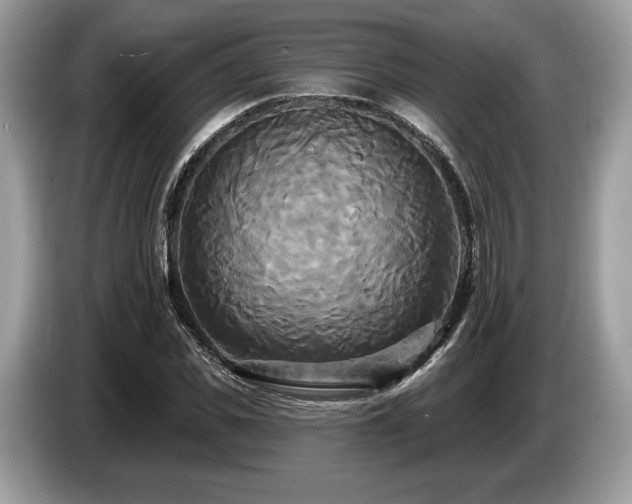 X0000087510925200704271120