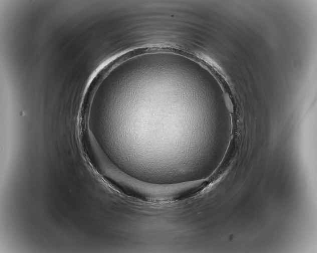 X0000087510928200704271120