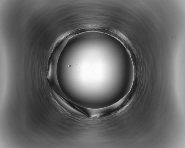 X0000087510930200704271120