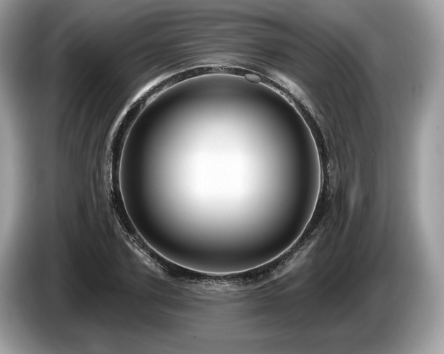 X0000087510931200704271120