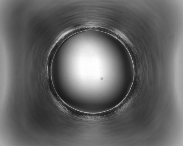 X0000087510934200704271120