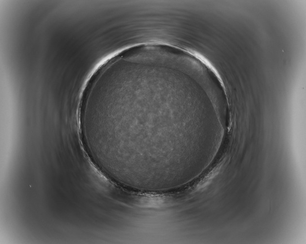 X0000087510935200704271120
