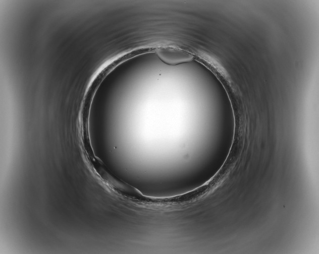 X0000087510936200704271120